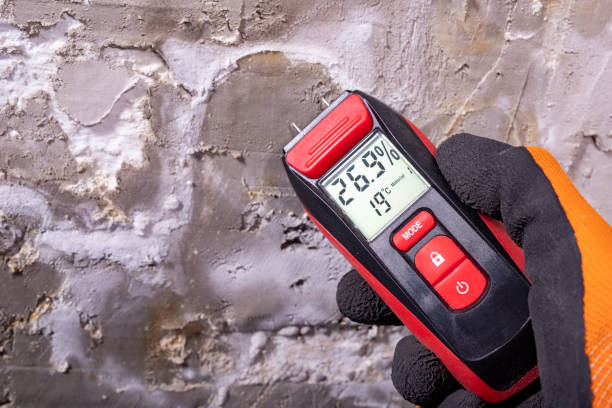 Best Water Damage Restoration  in Gettysburg, SD