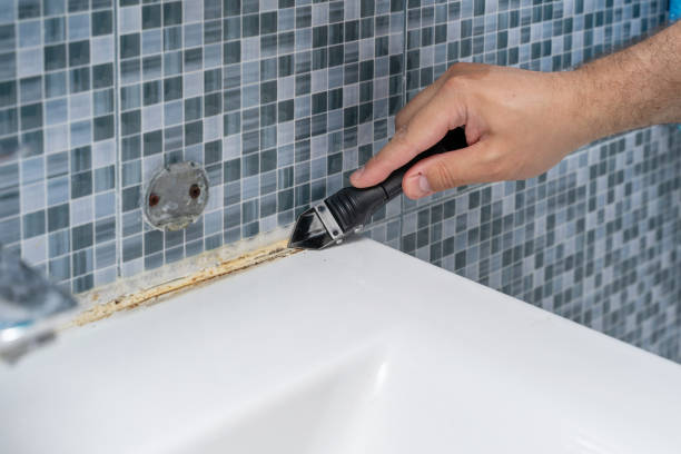 Best Residential Mold Removal  in Gettysburg, SD