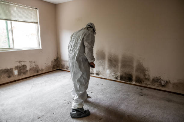Best Local Mold Removal Service  in Gettysburg, SD