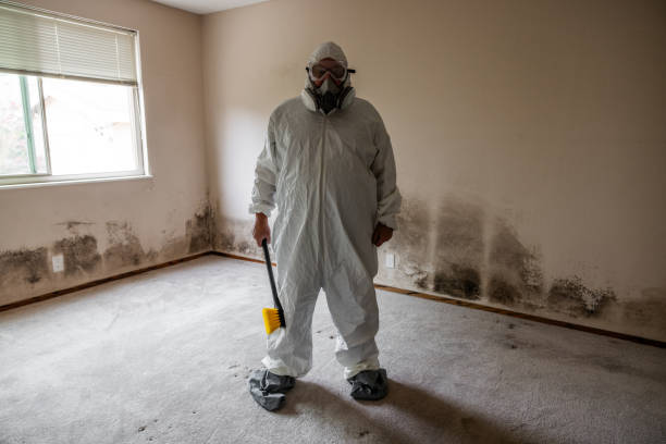 Best Professional Mold Removal  in Gettysburg, SD