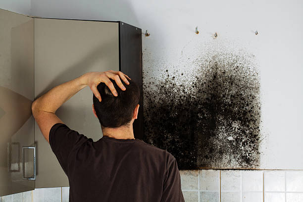 Best Emergency Mold Removal  in Gettysburg, SD